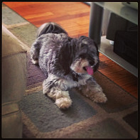 Sunny one newest member