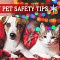 Holiday pet safety tips