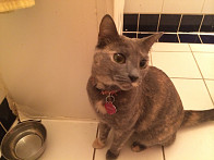 waiting for some more food.