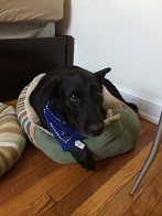 Moab, this is the perfect bed.