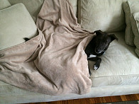 too cold out, woody didn't move