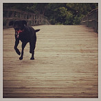 Lady having a blast during our field trip to Kingman Park Island