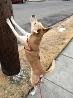 I will get you one day!!!