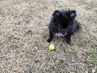 Margarita playing ball.