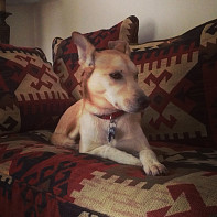 training for my photo shoot.