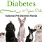 November is Pet Diabetes Month