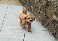 Little Kevin, getting bigger by the minute.