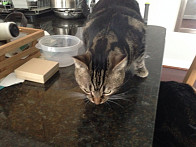 Oliver eating snacks