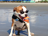 Chaney having fun at the beach!