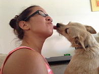 Joan getting some love from Elves